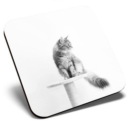 Square single coaster - square,