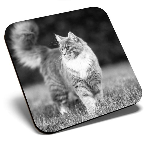 Square single coaster - single,
