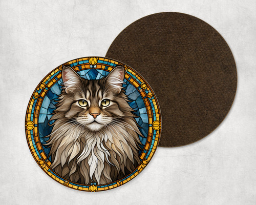 Cute maine coon cat - cat, kitten