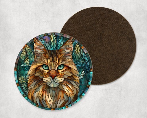 Cute maine coon cat kitten - maine,