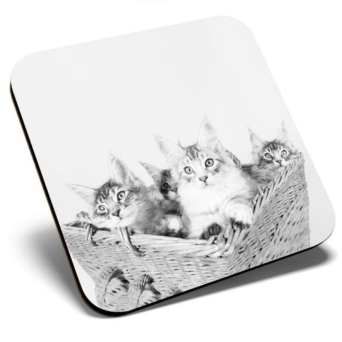 Square single coaster - single, bw