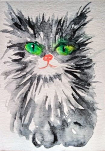 Gray maine coon kitten - gray,