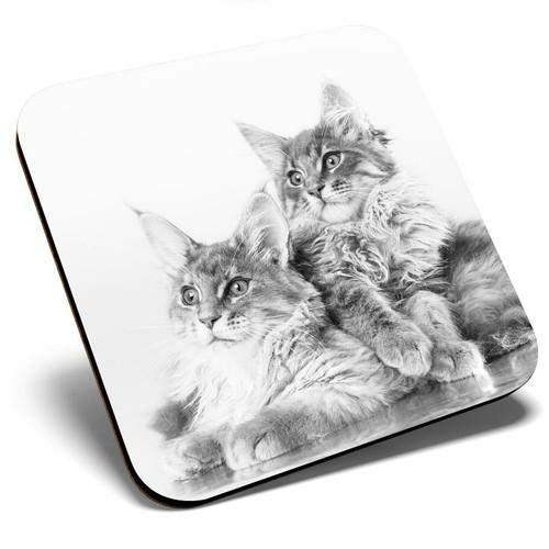 Square single coaster - coaster,