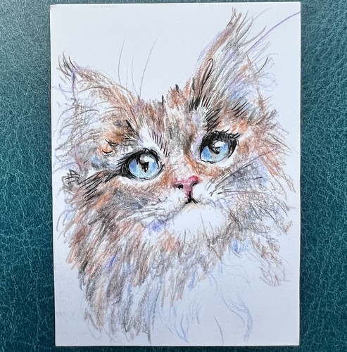 Cat aceo original - original, painting