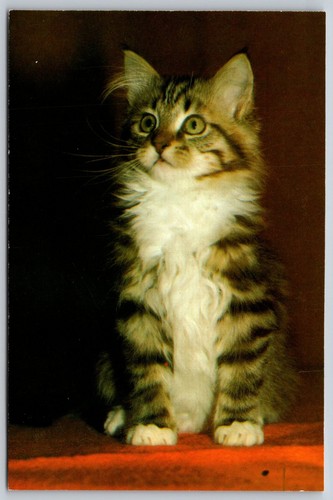 Vintage 1983 dover - vintage,