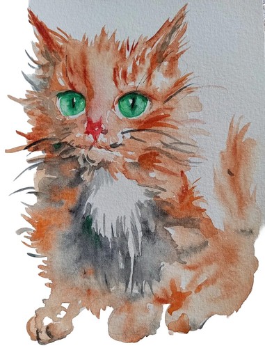 Original ginger maine - ,