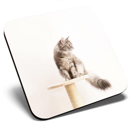 Square single coaster pretty - square,