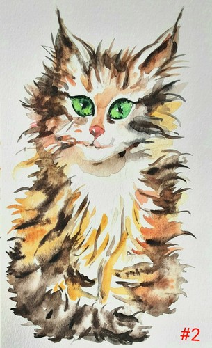 Original tabby orange maine - ,