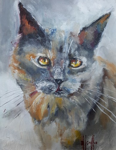 Original oil painting kitty - original,