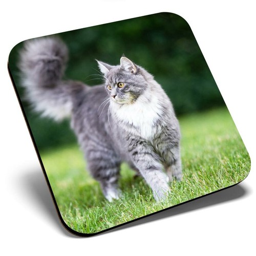 Square single coaster - coaster, blue
