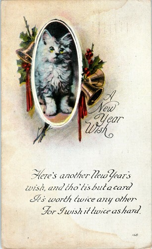 1919 new years kittens - new, cat