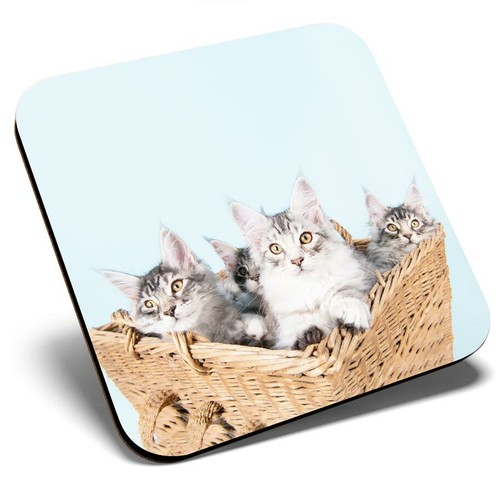 Square single coaster cute - single,